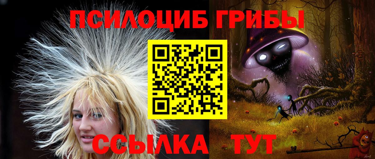Галлюциногенные грибы Cubensis Нефтекумск